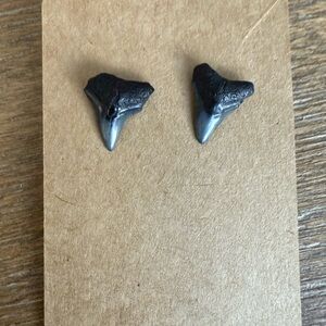 Fossil Shark Tooth Earrings